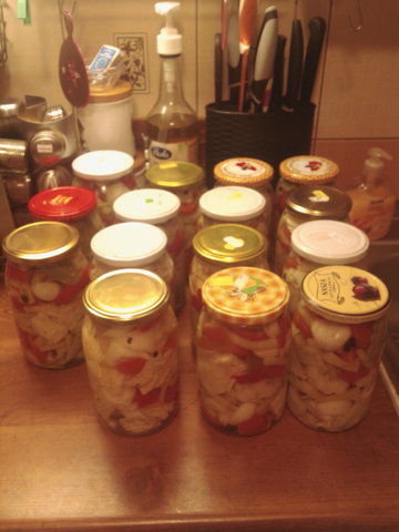 2015-09-16 19.50.06.jpg