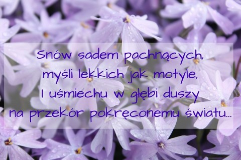 Snów sadem pachnących, myśli lekkich jak motyle, I uśmiechu w głębi duszy na przekór pokręconemu światu….jpg